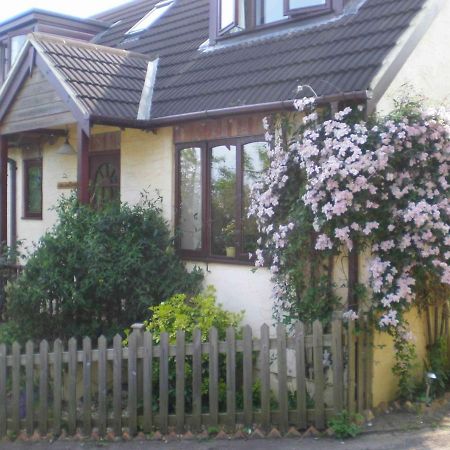Skerries B And B Lyme Regis Dış mekan fotoğraf
